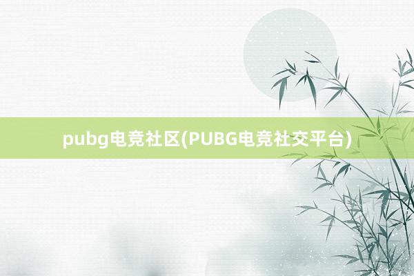 pubg电竞社区(PUBG电竞社交平台)