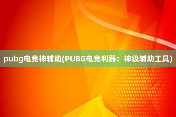 pubg电竞神辅助(PUBG电竞利器：神级辅助工具)