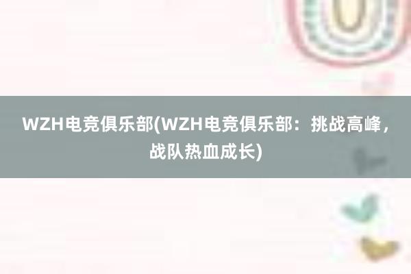 WZH电竞俱乐部(WZH电竞俱乐部：挑战高峰，战队热血成长)