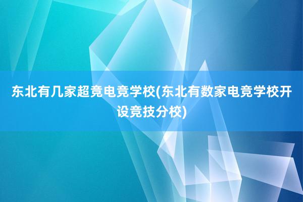 东北有几家超竞电竞学校(东北有数家电竞学校开设竞技分校)