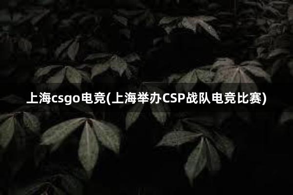 上海csgo电竞(上海举办CSP战队电竞比赛)