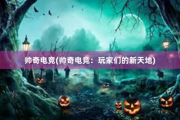 帅奇电竞(帅奇电竞：玩家们的新天地)