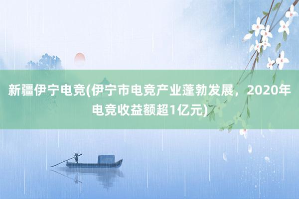 新疆伊宁电竞(伊宁市电竞产业蓬勃发展，2020年电竞收益额超1亿元)