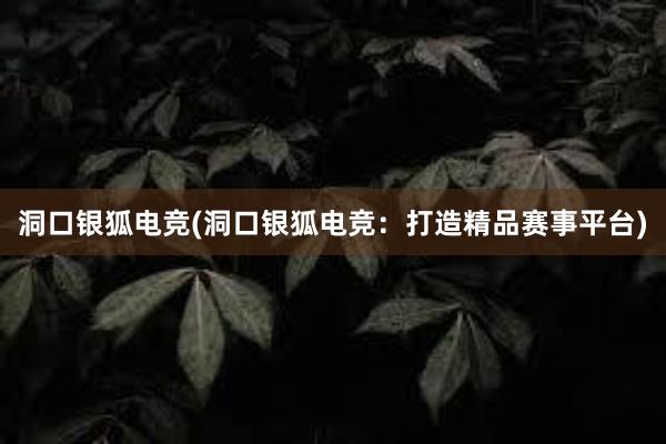 洞口银狐电竞(洞口银狐电竞：打造精品赛事平台)