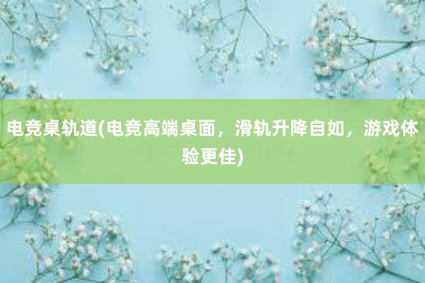 电竞桌轨道(电竞高端桌面，滑轨升降自如，游戏体验更佳)