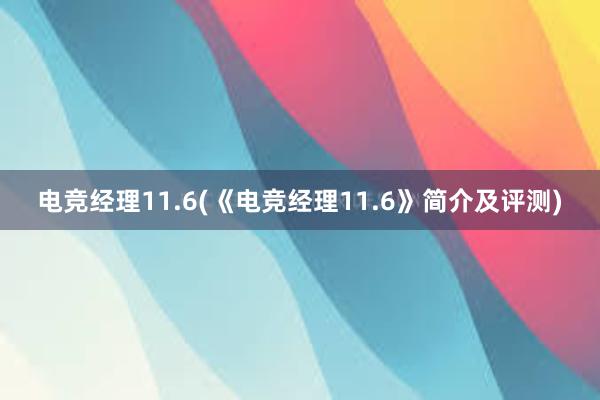 电竞经理11.6(《电竞经理11.6》简介及评测)