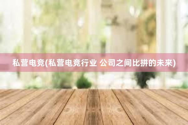 私营电竞(私营电竞行业 公司之间比拼的未来)