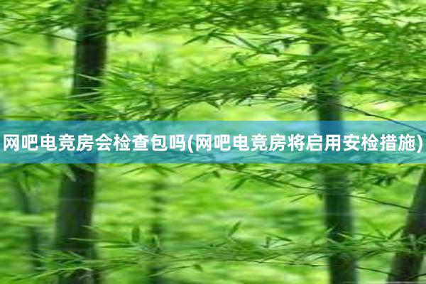 网吧电竞房会检查包吗(网吧电竞房将启用安检措施)