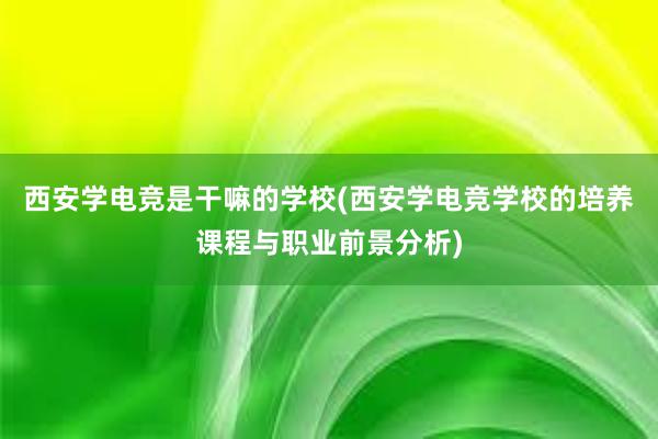 西安学电竞是干嘛的学校(西安学电竞学校的培养课程与职业前景分析)