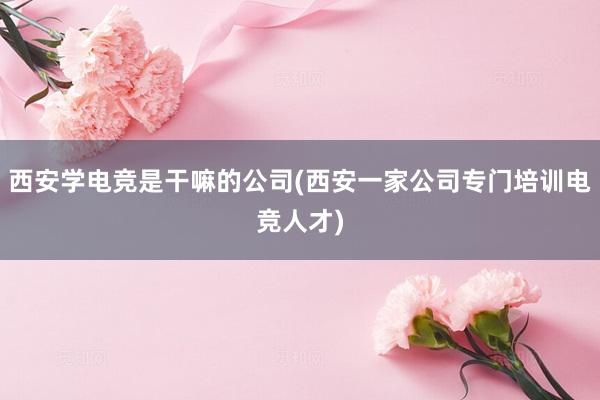 西安学电竞是干嘛的公司(西安一家公司专门培训电竞人才)