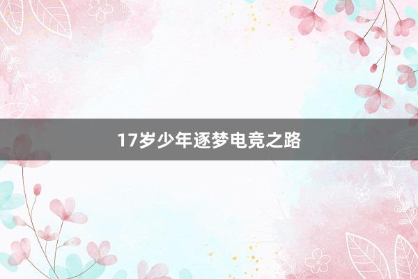 17岁少年逐梦电竞之路