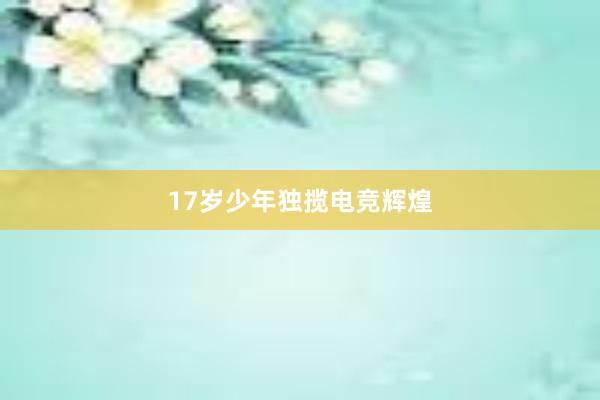 17岁少年独揽电竞辉煌