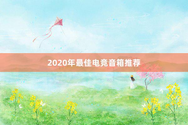 2020年最佳电竞音箱推荐