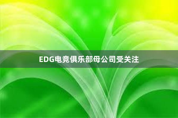 EDG电竞俱乐部母公司受关注