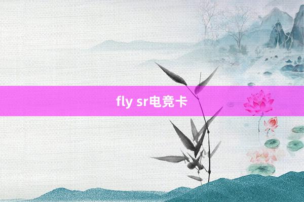 fly sr电竞卡