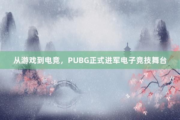 从游戏到电竞，PUBG正式进军电子竞技舞台