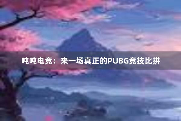 吨吨电竞：来一场真正的PUBG竞技比拼