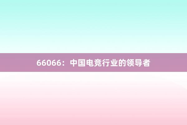 66066：中国电竞行业的领导者