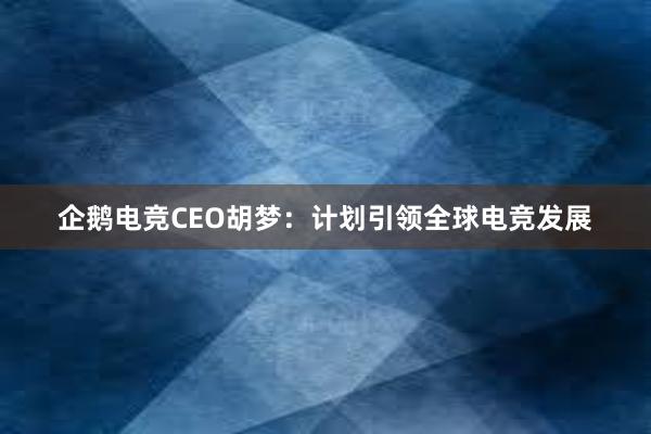 企鹅电竞CEO胡梦：计划引领全球电竞发展