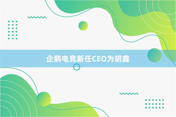 企鹅电竞新任CEO为胡鑫