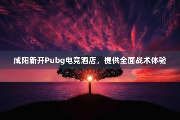 咸阳新开Pubg电竞酒店，提供全面战术体验