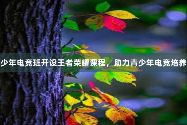 少年电竞班开设王者荣耀课程，助力青少年电竞培养