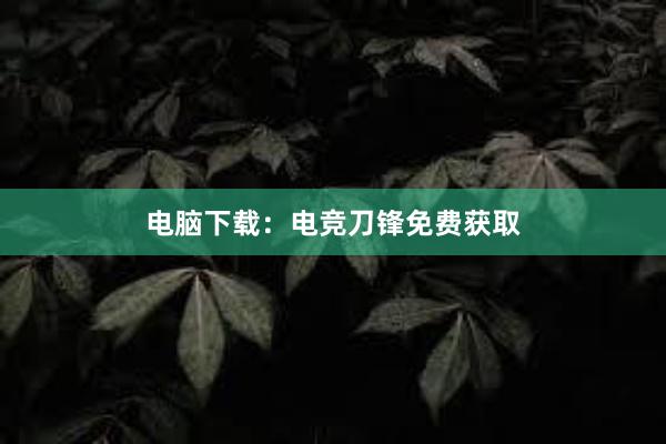 电脑下载：电竞刀锋免费获取