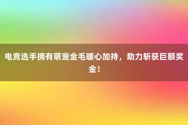 电竞选手拥有萌宠金毛暖心加持，助力斩获巨额奖金！