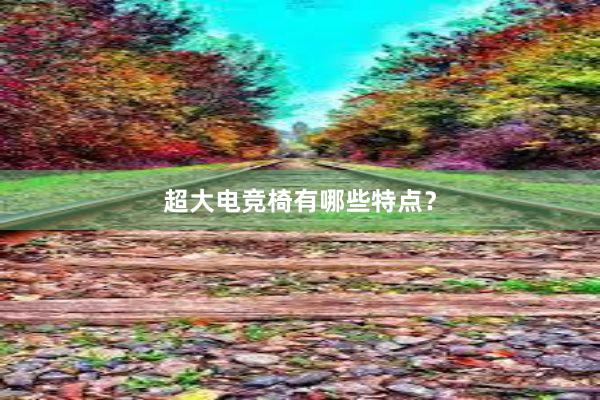 超大电竞椅有哪些特点？